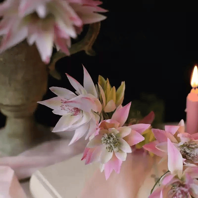 Blush Star Bloom - 27 po, Rosé doux, [C] 6 Stems