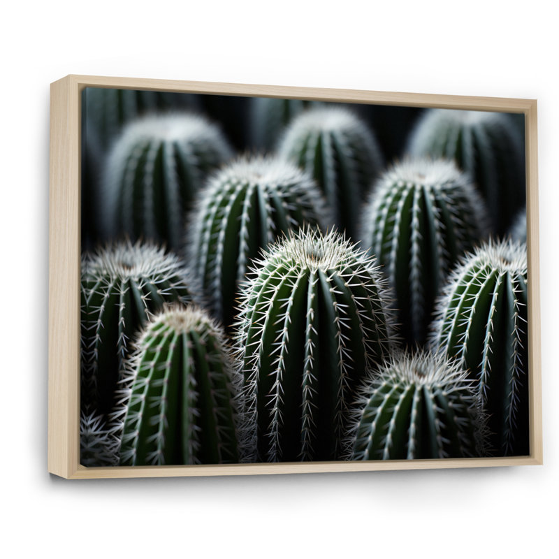 Vert, blanc, cactus, sublime minimalisme - impression, Cadre naturel flottant, H 34 po x l 44 po x P 1,5 po