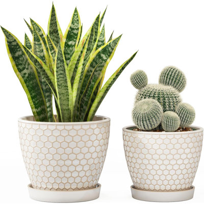 Ceramic Plant Pots Indoor,  Planters With Drainage Holes And Saucer For Home/Office - Set Of 2 /Milky Honeycomb