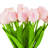 Natural Fibres Tulip Arrangement in Vase-856996947