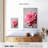 Pink Hydrangea-2140489180