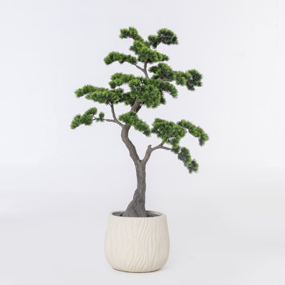 50.6'' Artificial Bonsai Tree In A Shell Designed Fiberstone Planter Perfect For Indoor And Outdoor Use