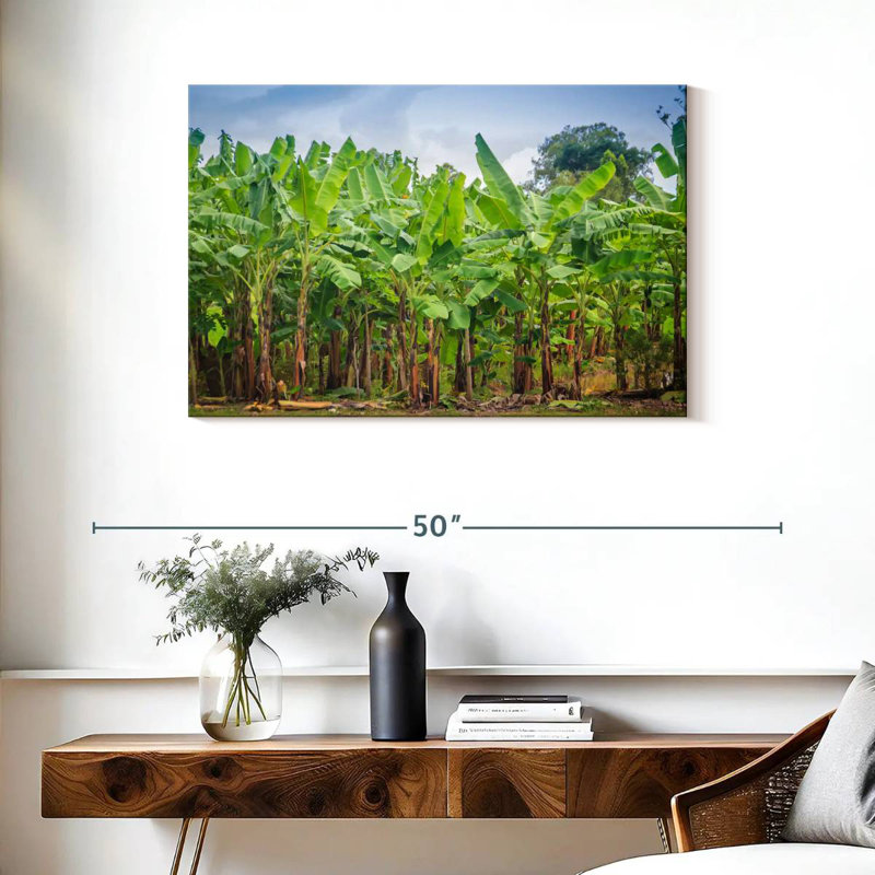 Plantation de bananes Harnek