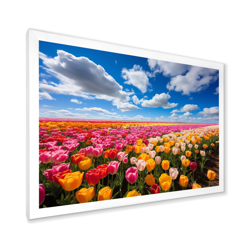 Colourful Tulip Fields I - Tulip Wall Art, White Closed Corner Framed, 12" H x 20" W x 1" D
