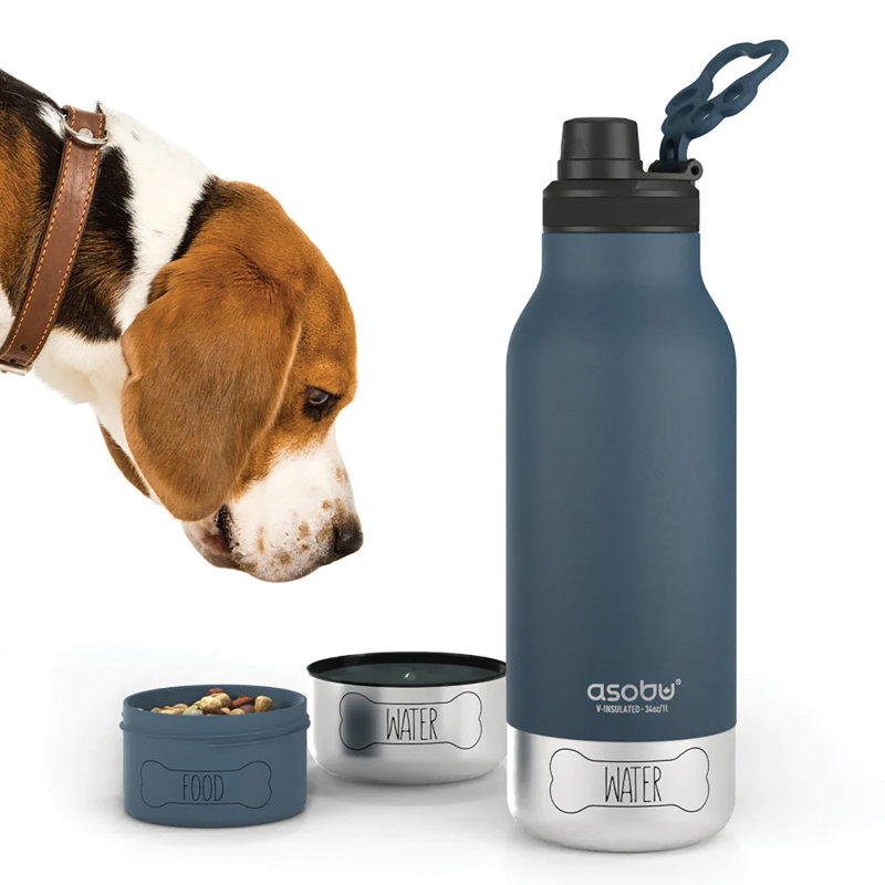 Asobu 32oz. Vacuum Insulated Stainless Steel Water Bottle, Blue