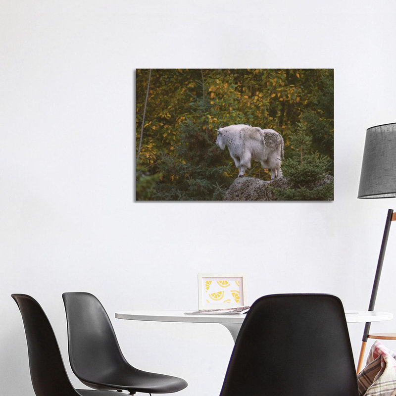 Mountain Goat High by Louis Ruth - Wrapped Canvas Print, 101.6 cm H x 66.04 cm W x 3.175 cm D