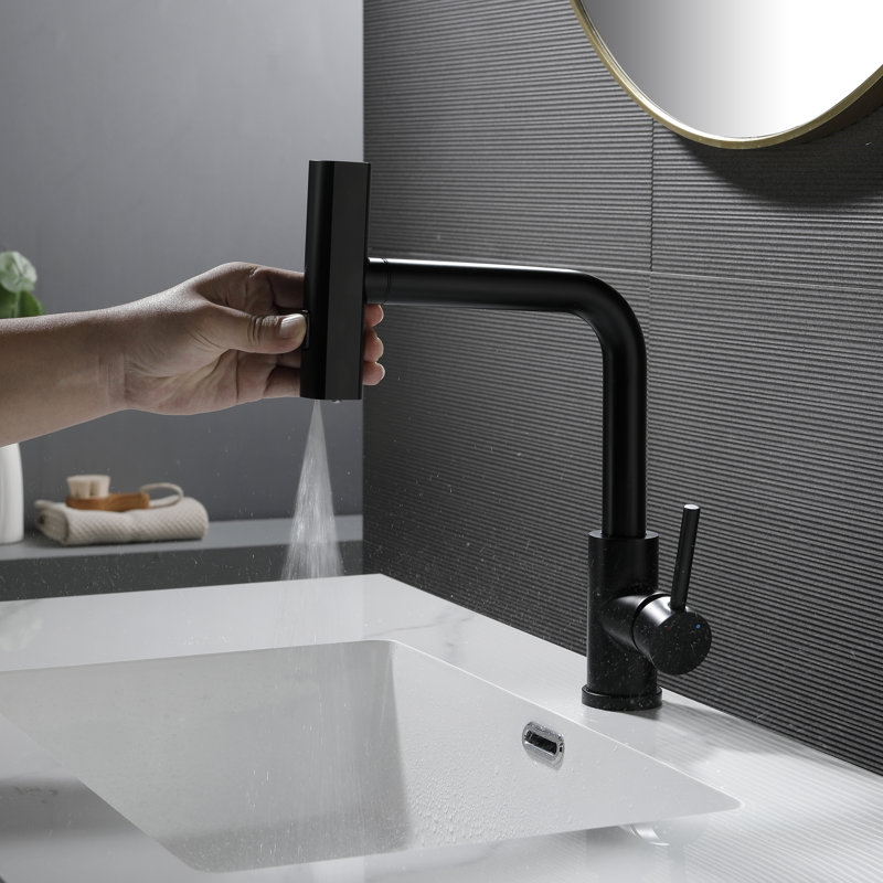Robinet de lavabo de salle de bain monotrou à fixation sur le comptoir, Noir mat