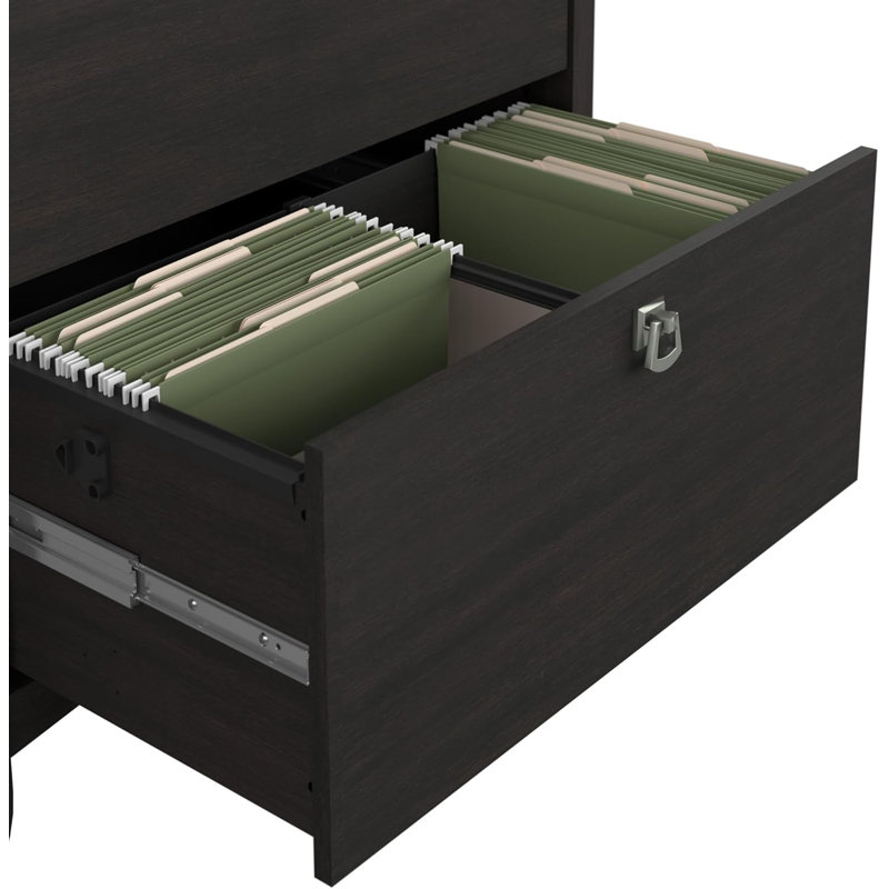 Vintage Black 2-Drawer Mobile Lateral File Cabinet