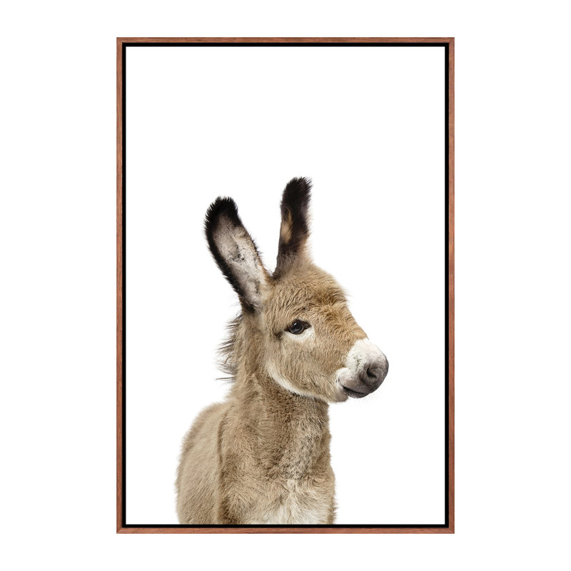 «Baby Donkey» par Sissi & Seb - reproduction de photo, Toile avec cadre brun, H 40 po x l 26 po x P 1,5 po, Pas de tapis