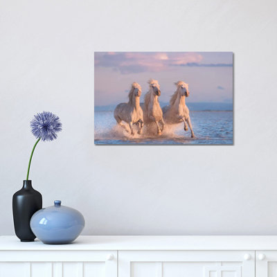 White Angels Of Camargue XXX by Daniel Kordan - Print on Canvas