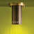Lacquered Bronze