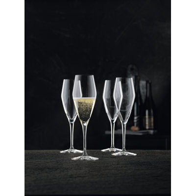 ViNova Champagne Glass Set/4