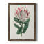 Protea N13 - Peinture sur toile encadrée-267897610-267897607
