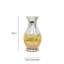 Christerfer Glass Novelty Lamp