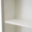 Evanthe Bookcase