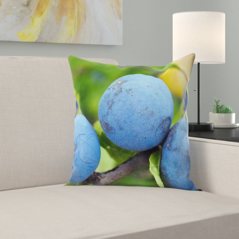Coussin blackthorn