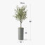 Arbre artificiel dans un pot de fleurs moderne, décoration d'arbre en soie d'olivier artificiel (pot et arbre)-407143817-424482374