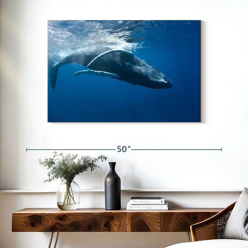 Brampt Humpback Whale
