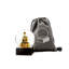 Buddha To Go Gold - Set Of 12