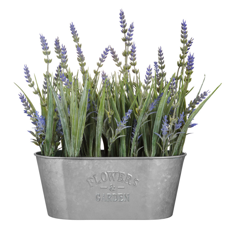Lavender Arrangement in Galvanized Metal Oblong Pot