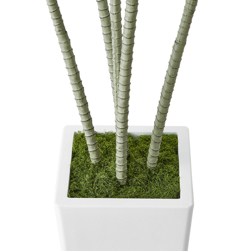 Dracaena artificiel Kren, pot à fleurs blanc, soie soyeuse réaliste 60 pouces, H 60 po x l 27,56 po x P 27,56 po, Noir