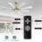 Deallen 72'' Ceiling Fan with LED Lights-1249957704