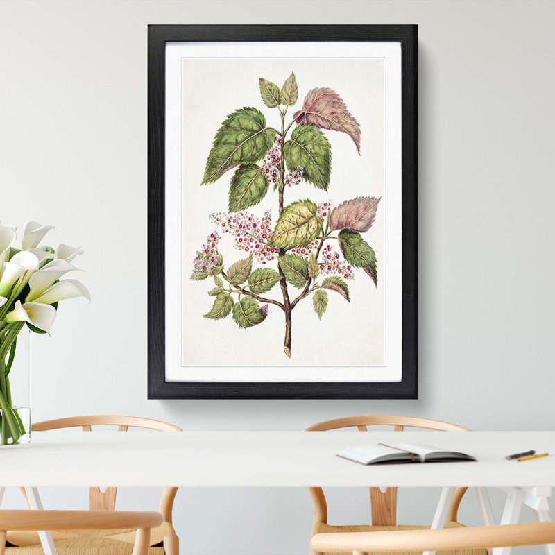 Pink Flowering Flowers by Sarah Featon - Picture Frame Painting Print, Black Framed, 36cm H x 27cm W x 2cm D