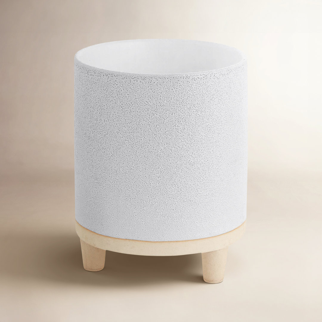 Fenna Ceramic Pot Planter AllModern 