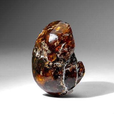 Genuine Amber From Baltic Sea (1.2 Lbs)
