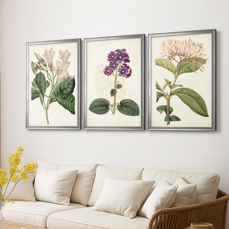 Antique Antique Botanical Collection, Argent argent, H 27 po x l 39 po