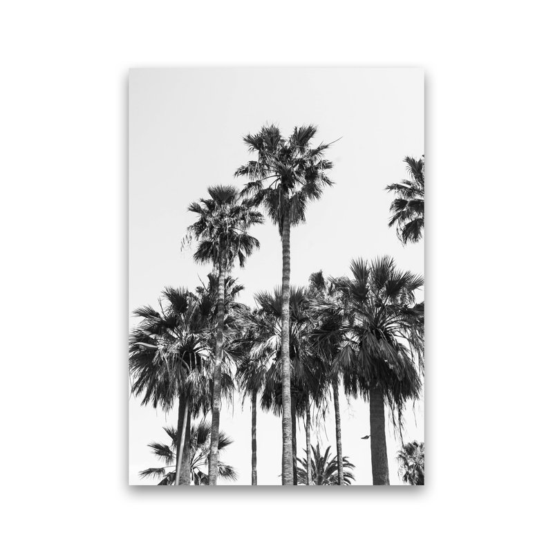 Sabal Palmetto II Palm Trees by Victoria Frost - Print, Unframed, 30cm H x 21cm W x 1cm D