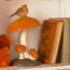  Resin Robin & Mushroom Figurine