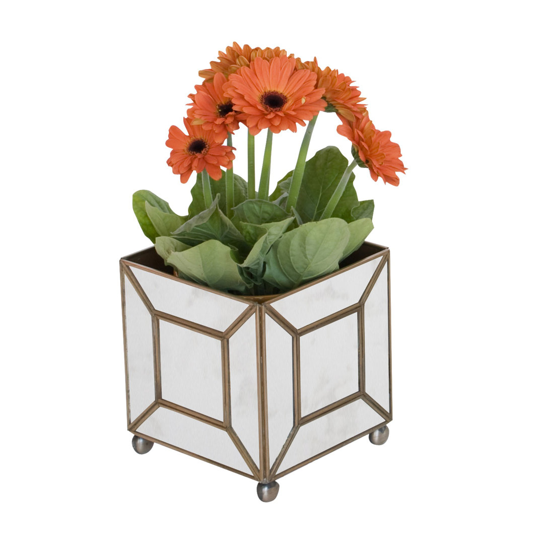 Planter Box Worlds Away