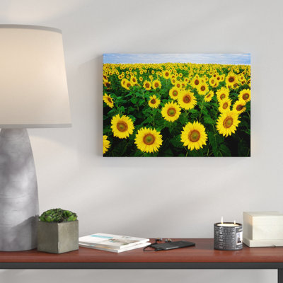 Yellow Sunflower Photographic - Wrapped Canvas