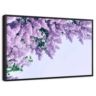 Délicats lilas mauves