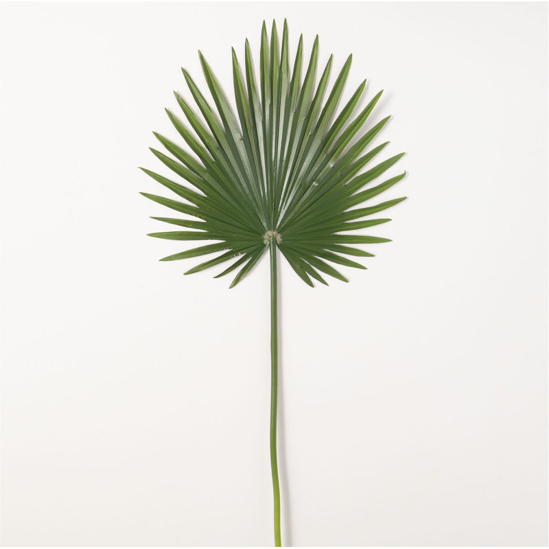 Tige palmetto