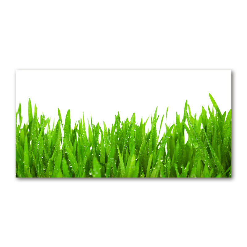 Grass - No Frame Print on Glass, 70cm H x 140cm W x 2cm D, Canvas
