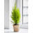 Wood Pot Planter