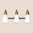 Dimmable Vanity Light, Bulbs not Included-359280961