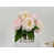 Light Pink selected