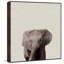 Elephant Surprise - Drawing on Canvas-449832997