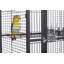 Cage à oiseau Lucian-1384716119-1421677916