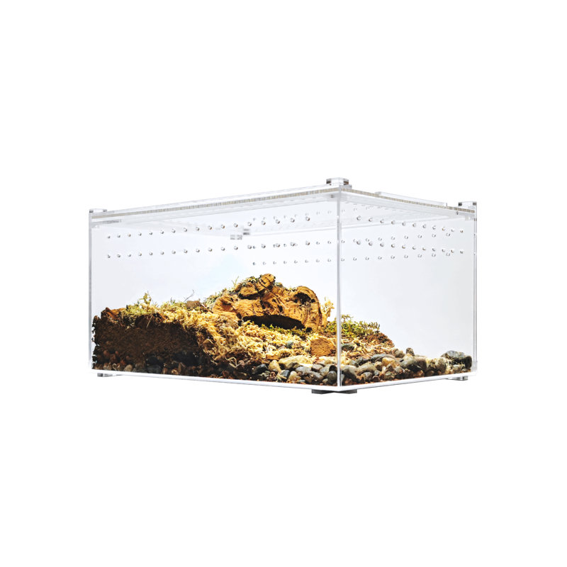 Acrylic Reptile Terrarium, 3 Gallon - 6"H x 8"W x 12"D