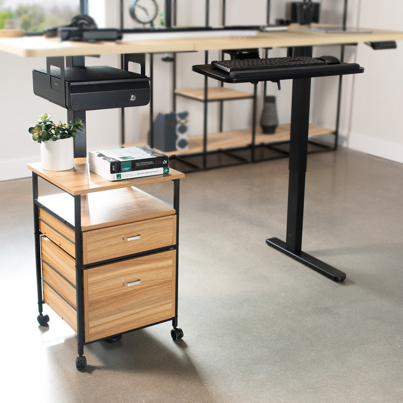 Cadre de bureau électrique avec pieds à l'arrière (série DESK-100E-RB), Noir