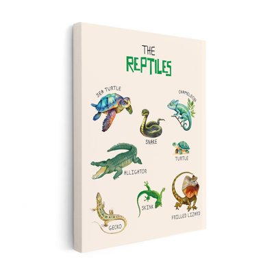 The Reptiles