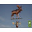 40'' H Metal Animals Weathervane-12272491