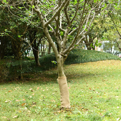 Plant Stand