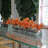 Arrangement in Planter-192753515-192753514