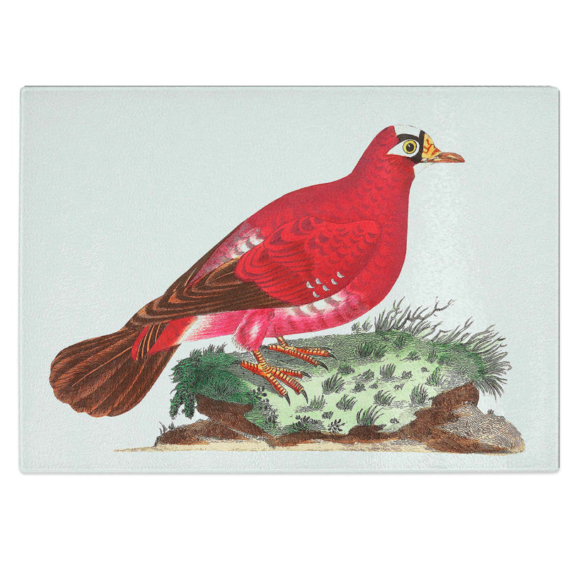 Tempered Glass Crimson Pigeon Chopping Board, 39 cm W x 28.5 cm L