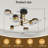 LED Ceiling Light Black Ceiling Light with Remote Modern Ceiling